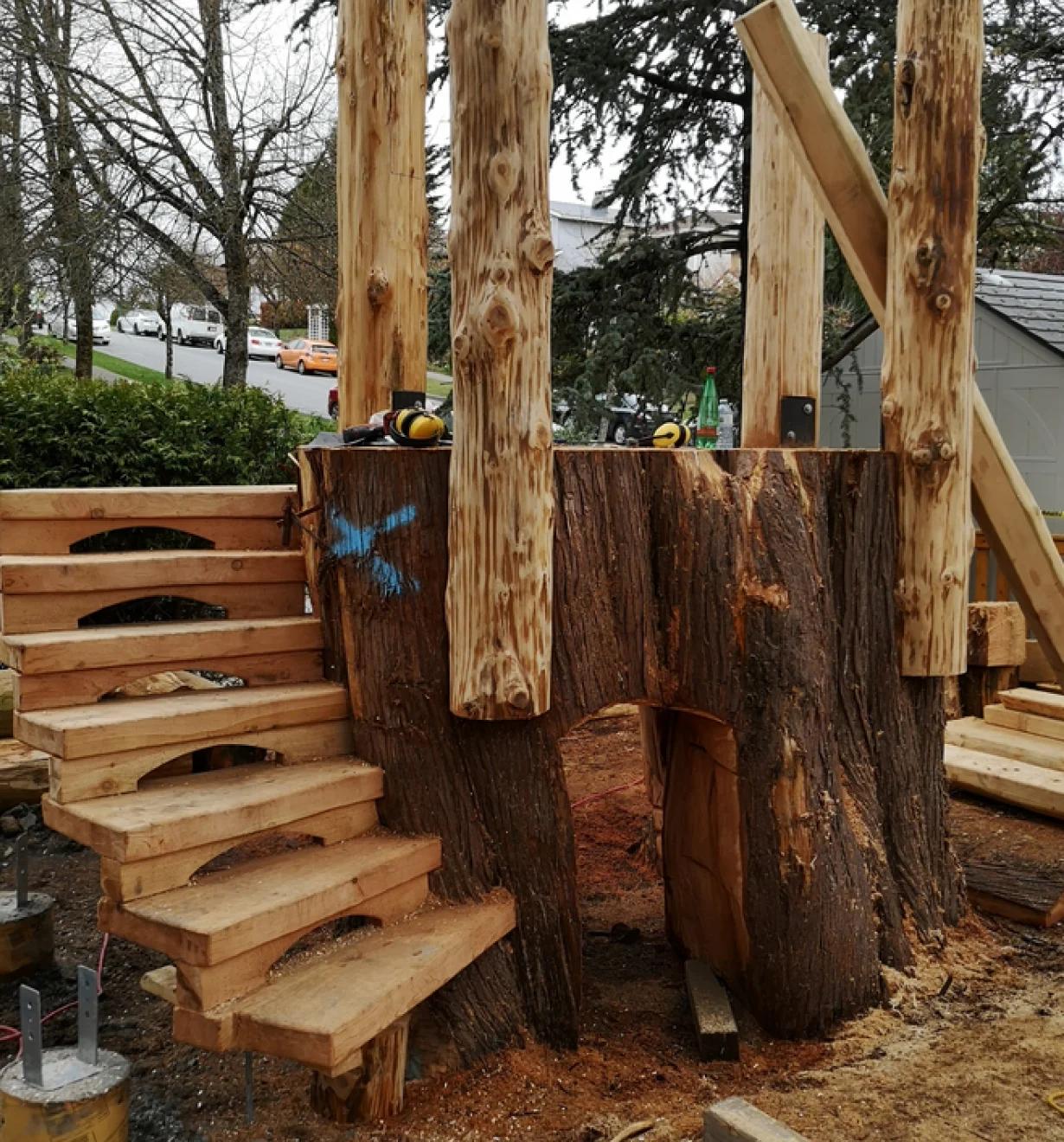 Wooden stairs wrapped around a large tree stump with log posts during construction
